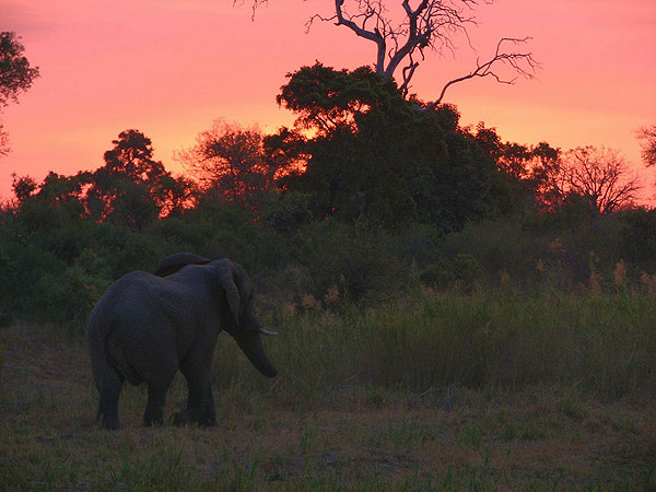Kruger Safari at Umkumbe – Client Feedback by Natasha Allan