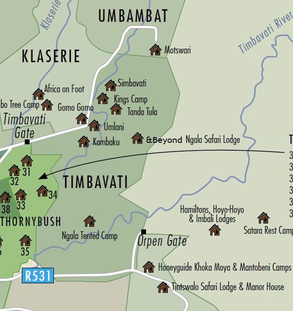 Ghost Male Lions Look To Take Over The Machaton Pride By Brett Thomson Timbavati Map 
