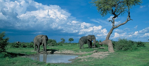 Our Top 5 Safari Lodges in Botswana