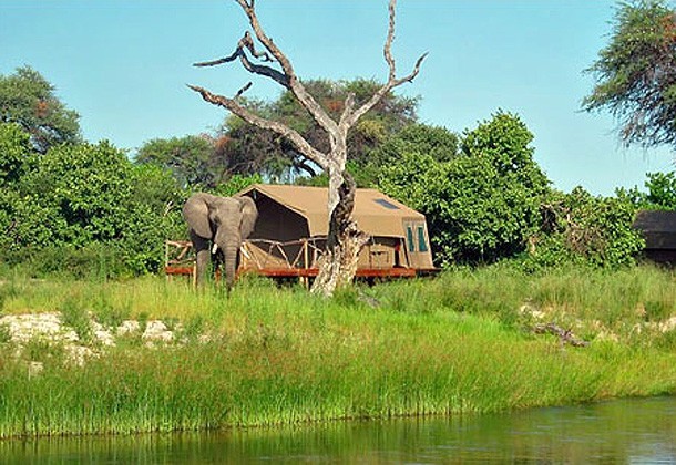 A Guest’s Review of Botswana’s Camp Savuti – Client Feedback by Anne-Marie Mulder
