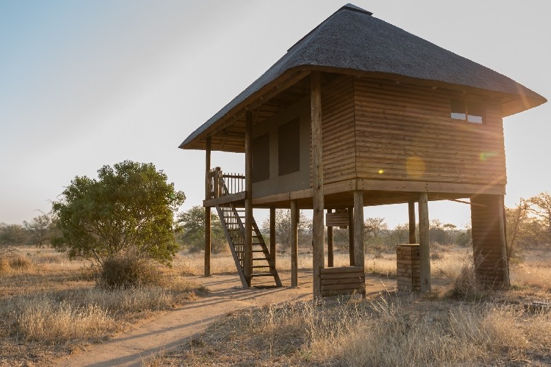 nThambo Tree Camp & Africa on Foot Review