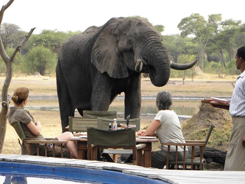 The Hide Safari Camp in Hwange, Zimbabwe