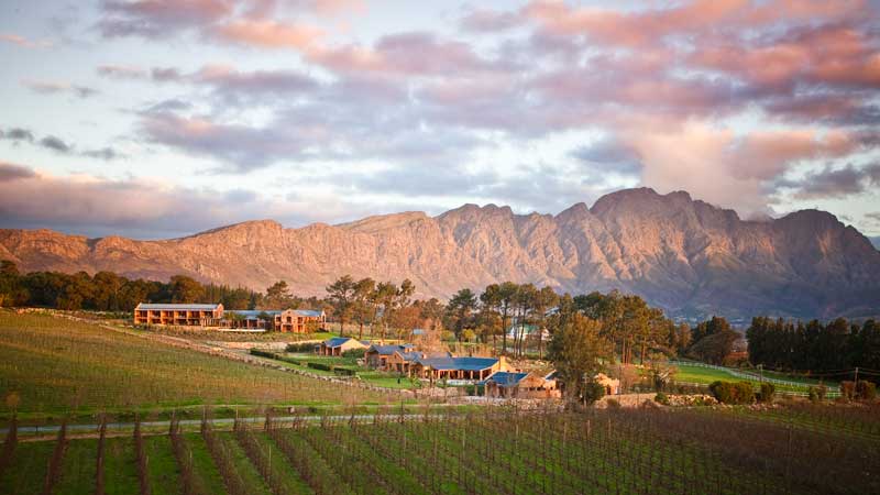 3 Exquisite Wine Farms Outside of the Cape Winelands