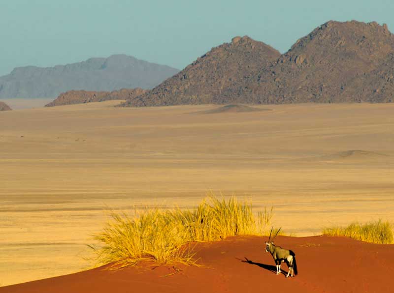 Top 5 Most Exquisite Lodges in Namibia