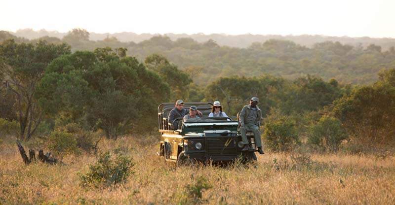 Will Thornybush Game Reserve Drops its Timbavati Boundary Fence?