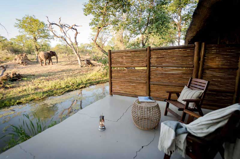 Let a Safari Be Your Language of Love on Valentine’s Day
