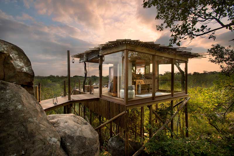 MORE Safari Treehouse Experiences in the Wilderness