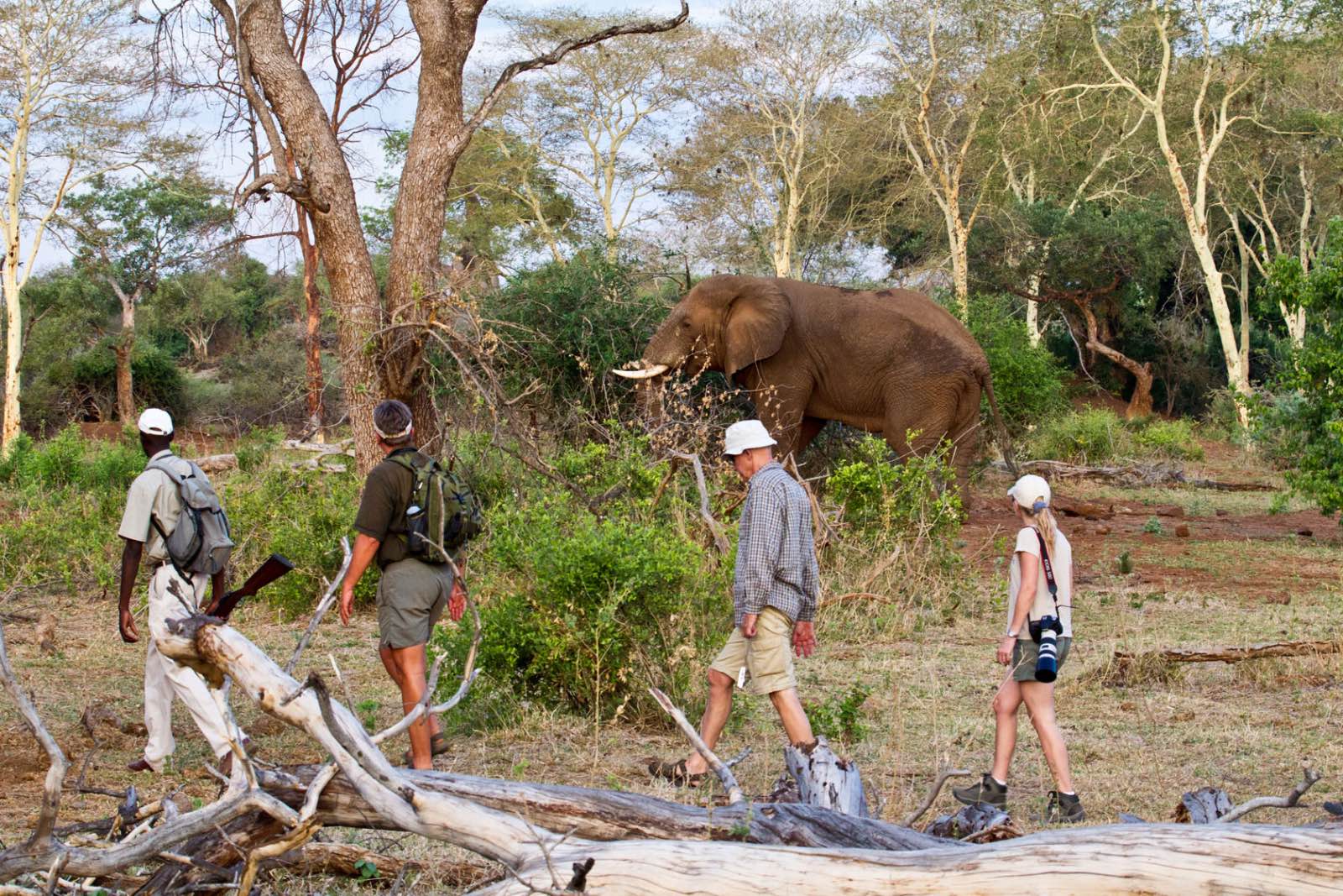 Three different Kruger Park Walking Trails to suit adventurous safari goers