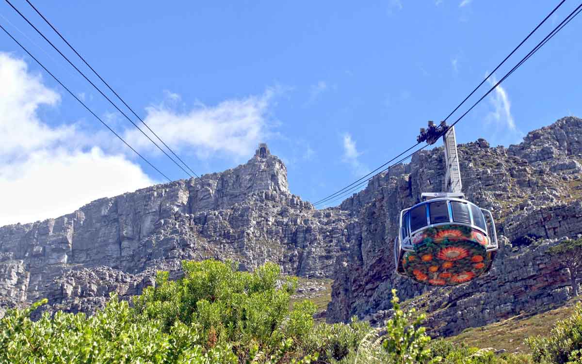 4 Family Activities in Cape Town