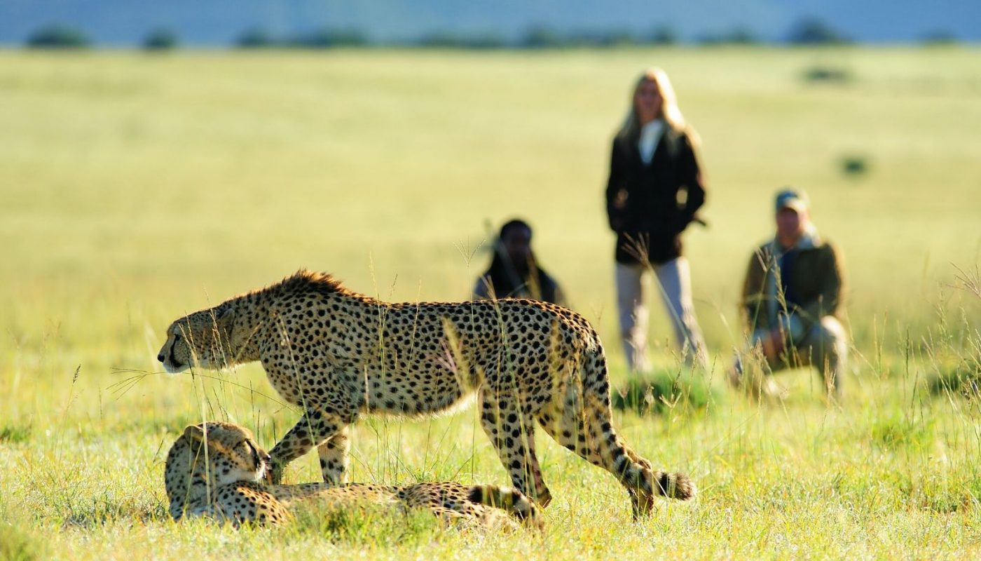 Walking Safaris in Africa