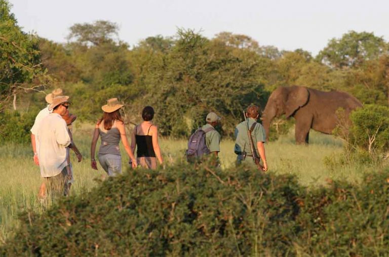 Top 5 Walking Safaris In The Kruger National Park Sun Safaris Travel Blog 8219