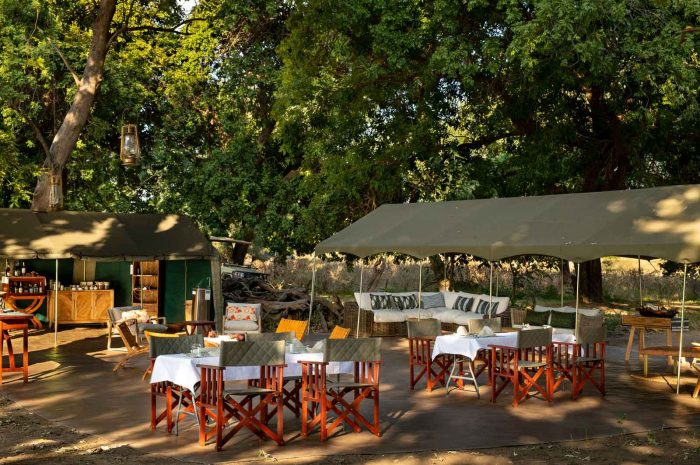 Client Feedback: On the banks of the Zambezi