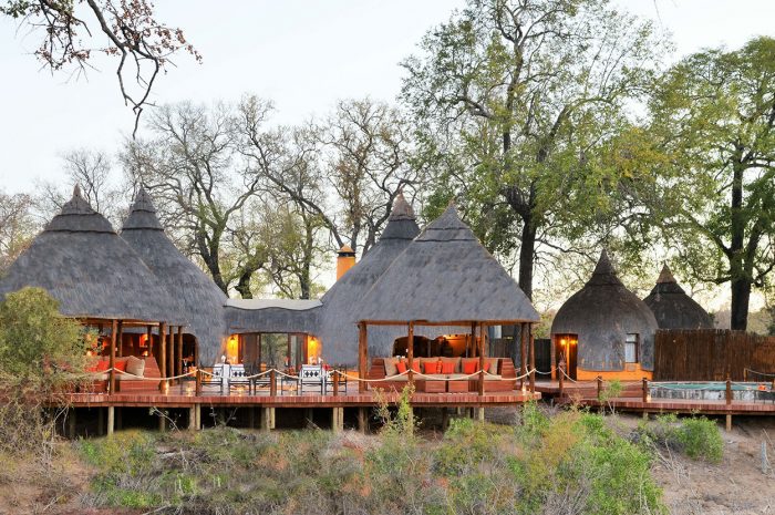 Client Feedback: A Long Overdue Trip to the Kruger