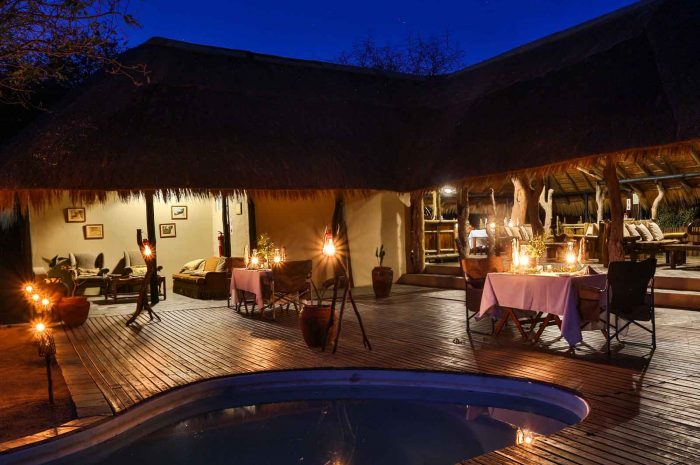 Client Feedback: A Group Trip to the Kruger