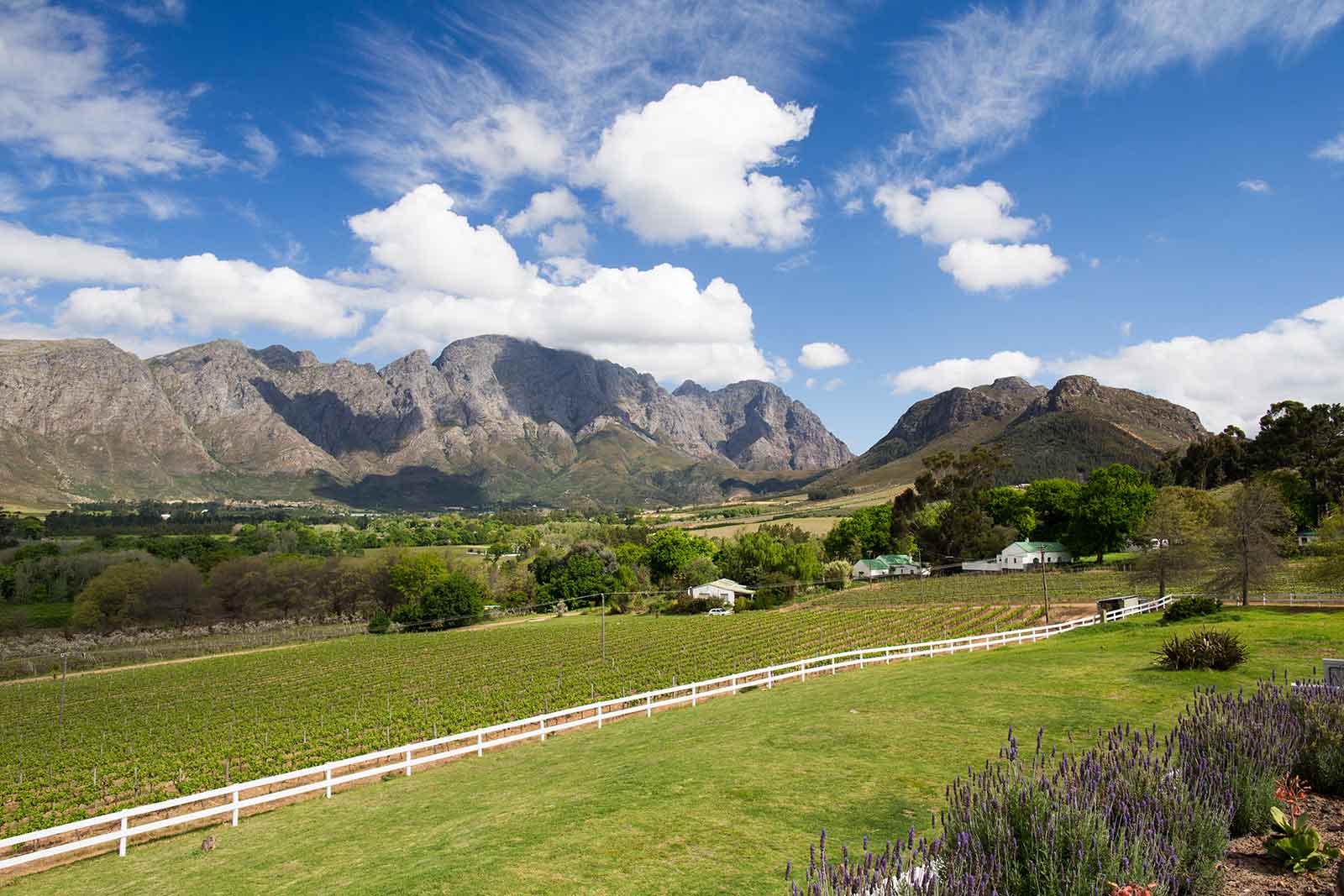 Client Feedback: From the Scenic Cape Winelands to Luxury in the Kruger